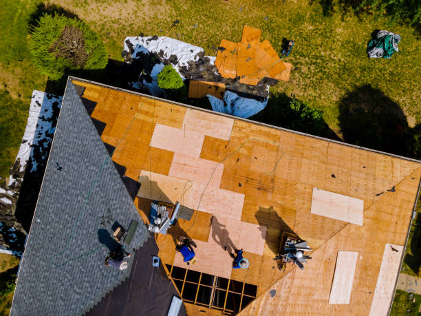 Quick and Trustworthy Emergency Roof Repair Services in Embreeville, TN