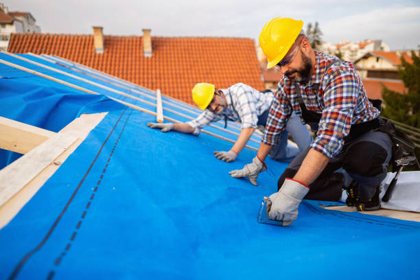 Roof Installation Near Me in Embreeville, TN