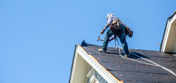Best Flat Roof Repair Services  in Embreeville, TN